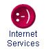 * Internet Services